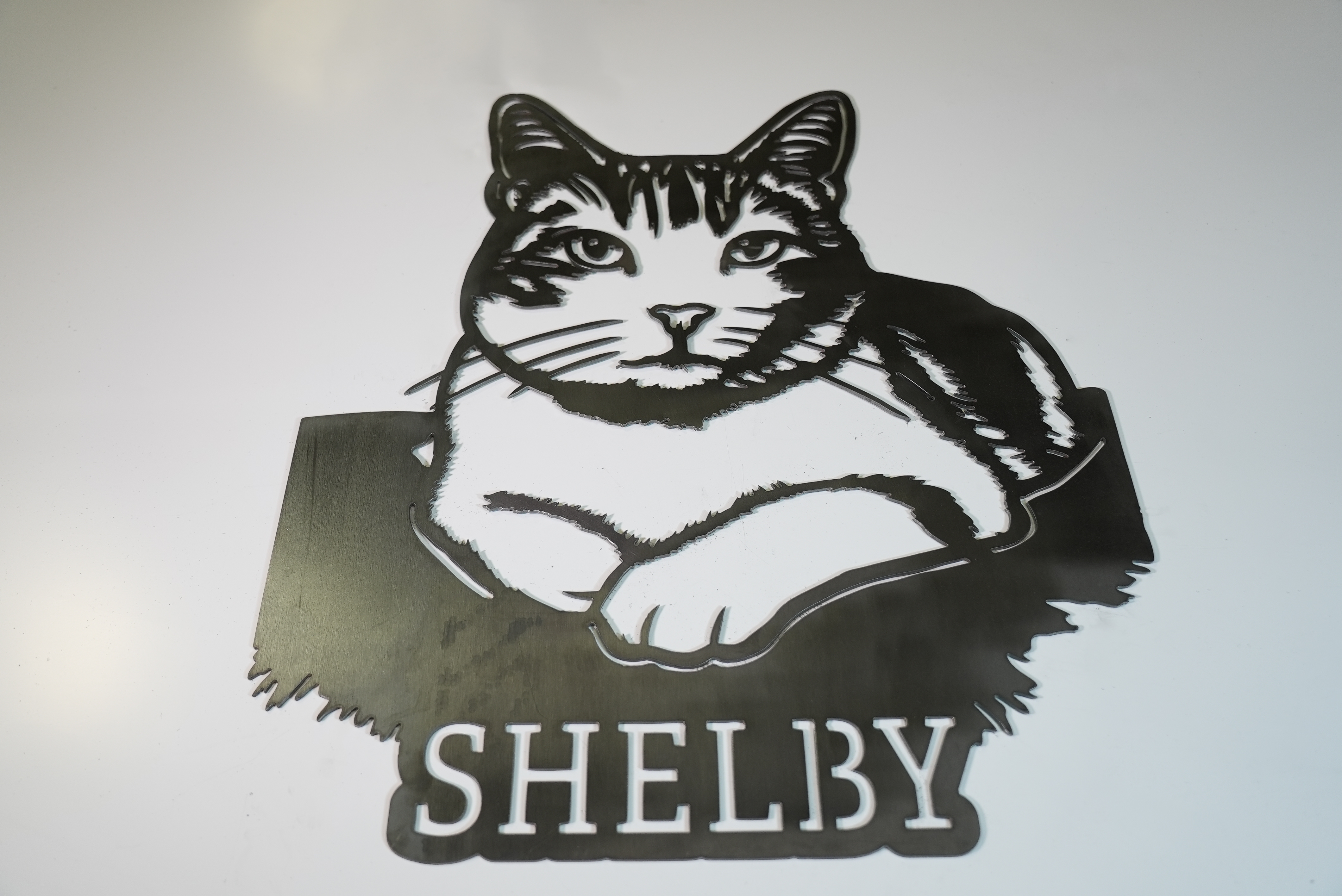 Cat Sign